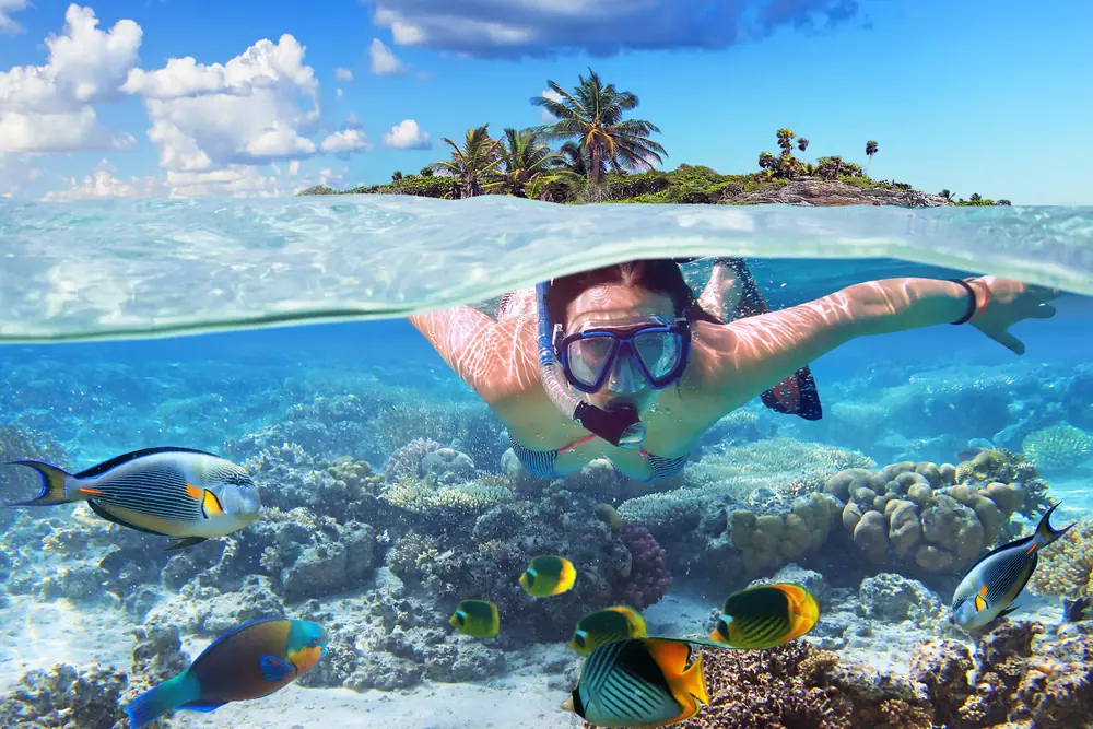 A snorkeller exploring colourful marine life in clear tropical water